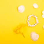 Reddybook Review: How This Digital Platform Transforms Learning and Entertainment with 11xplay Integration